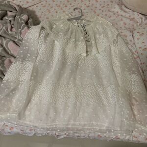 Zara mesh blouse
